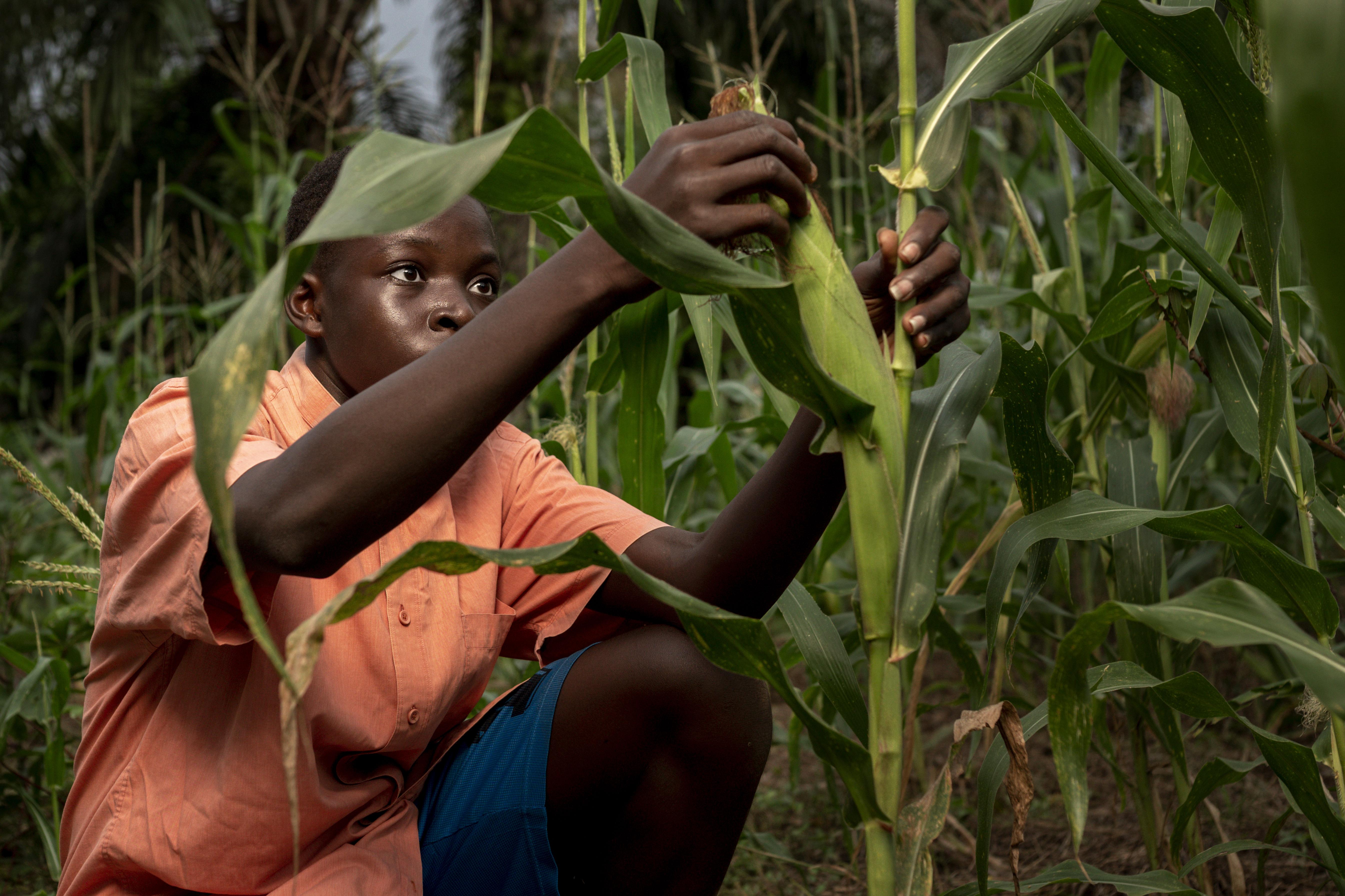 Farmers Collaboration