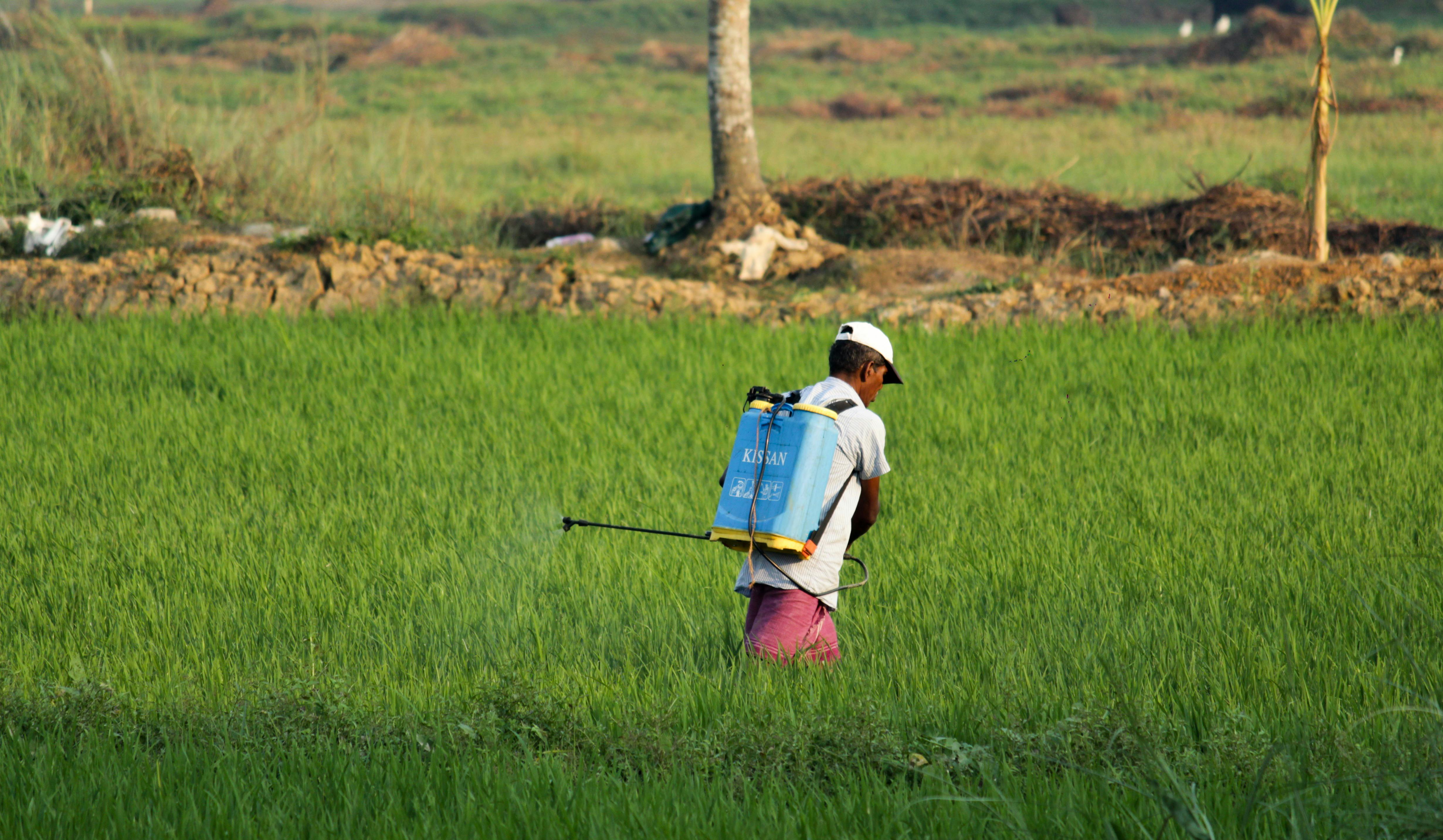 Field Monitoring