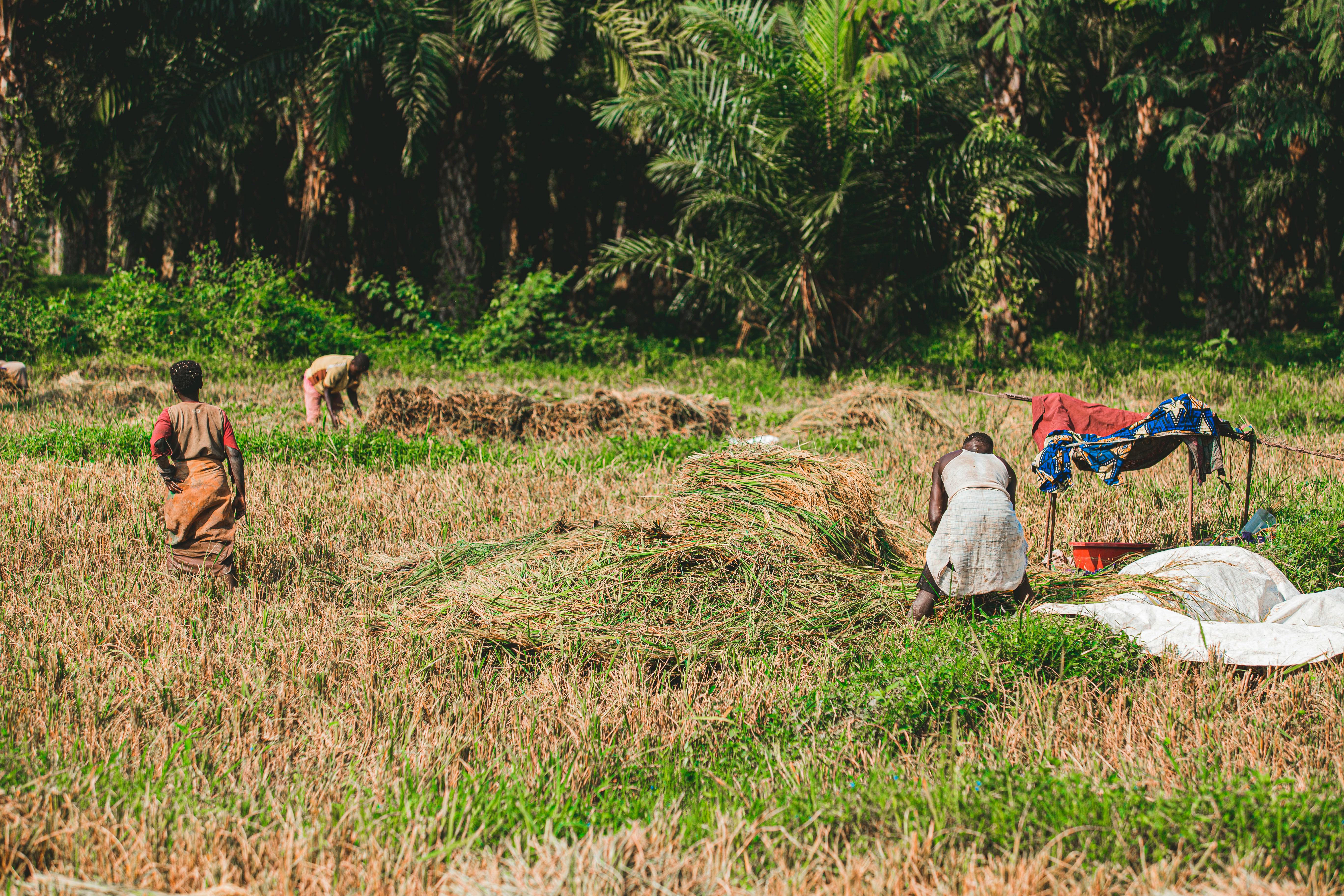 ADEF Community Impact Activities