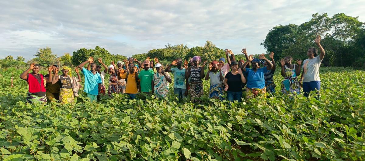 Field Visit