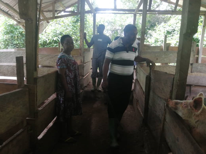Pig Farming