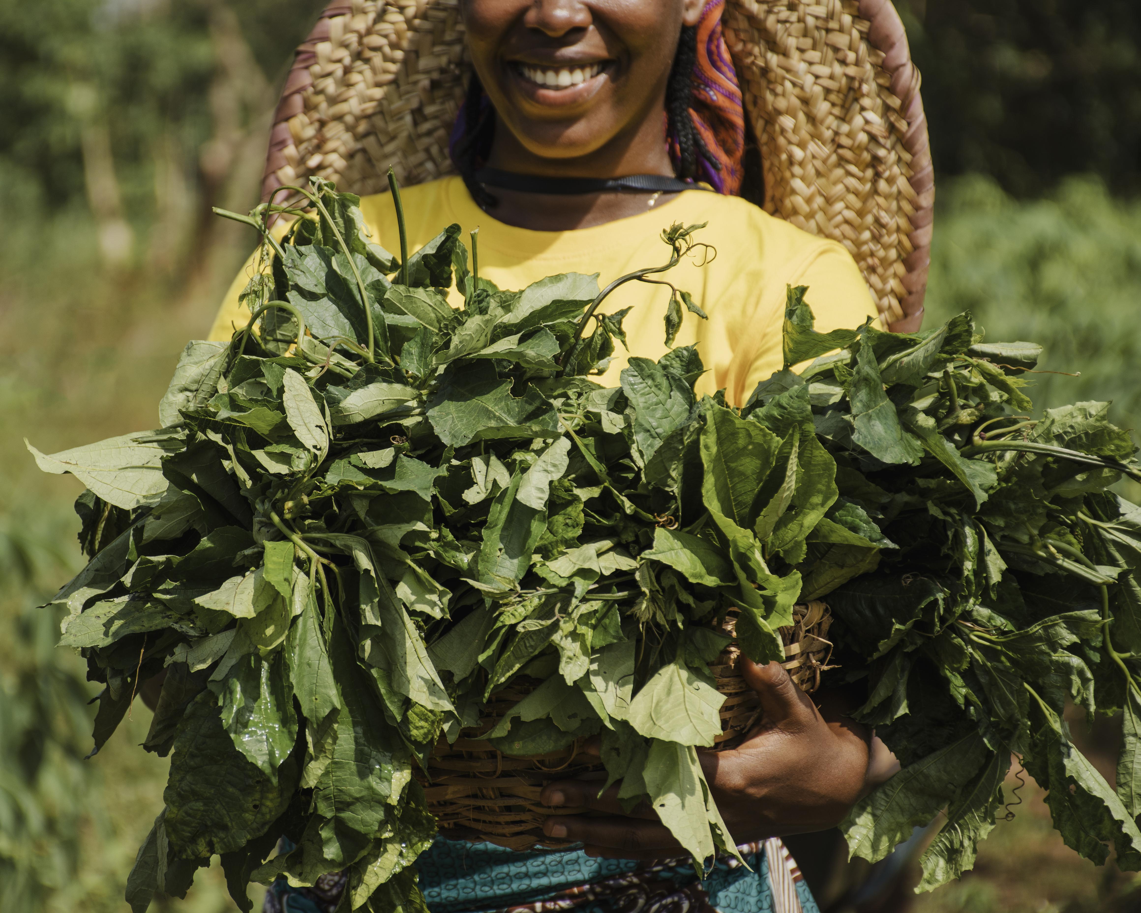 Organic Farming