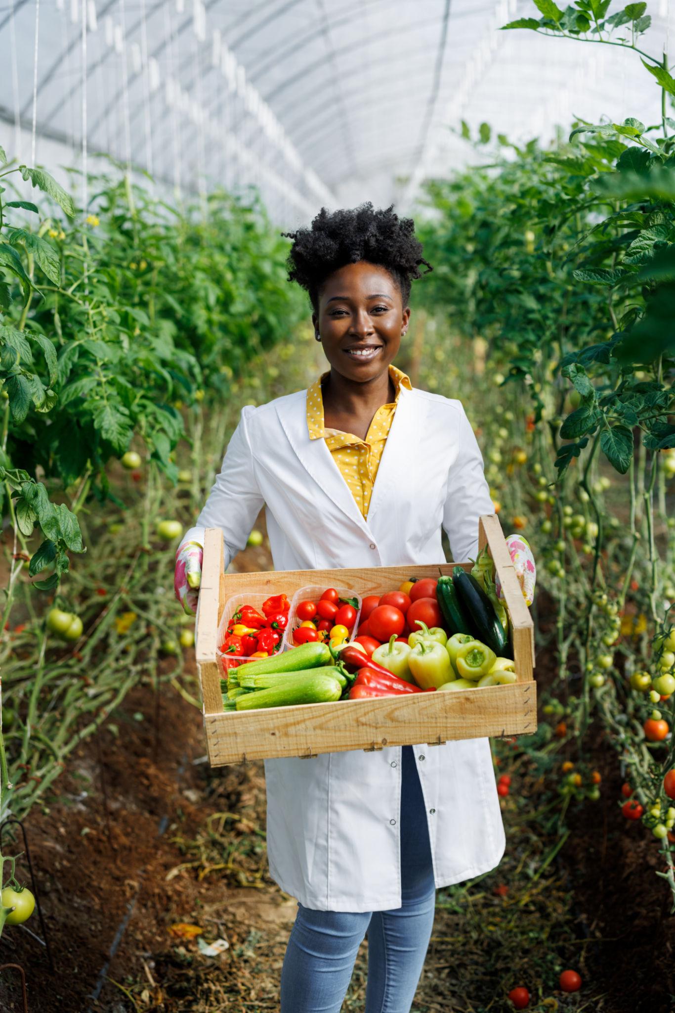 Vegetable Farming